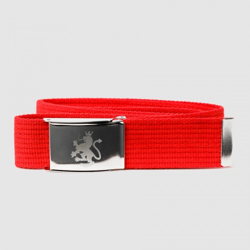Pasek P56 - Lion - Dudek P56