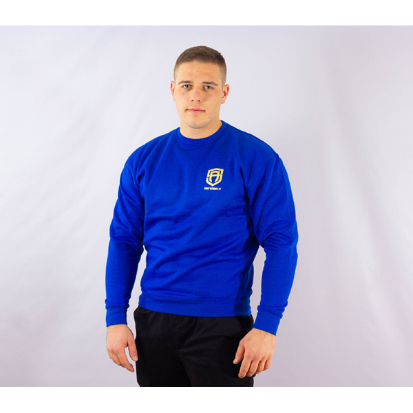 Bluza Street Autonomy - Small Logo Gold